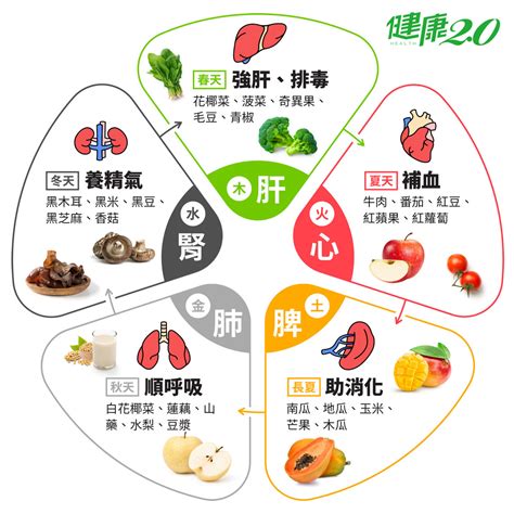 補金食物|五行五色挑食法，吃出抗病力｜健康2.